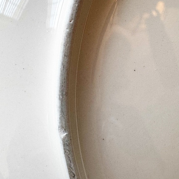 Pier 1 Imports "Flowers" Set Of 4 Dinner Plates 10 7/8" Handpainted Earthenware - Picture 8 of 8